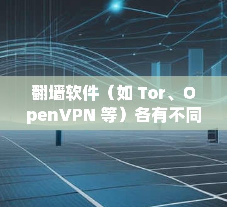 翻墙软件(如 Tor、OpenVPN 等)各有不同的版本,提供不同的功能和性能。以下是一些常见的版本及其特点 翻墙软件(如 Tor、OpenVPN 等)各有不同的版本,提供不同的功能和性能。以下是一些常见的版本及其特点