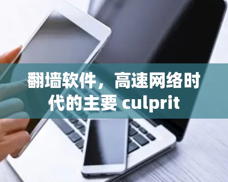 翻墙软件，高速网络时代的主要 culprit