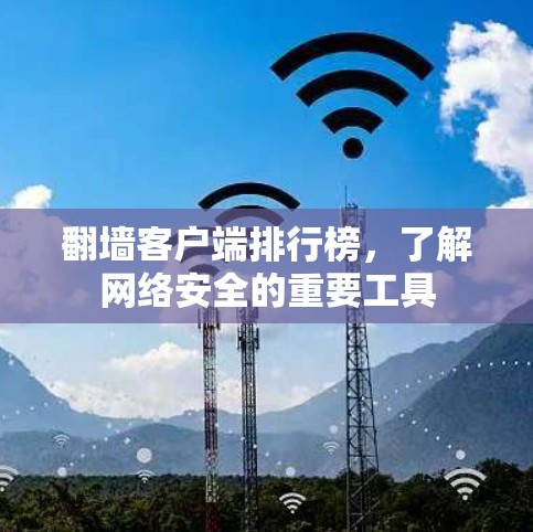 翻墙客户端排行榜,了解网络安全的重要工具 翻墙客户端排行榜,了解网络安全的重要工具