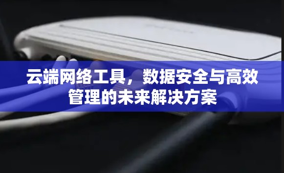 云端网络工具,数据安全与高效管理的未来解决方案 云端网络工具,数据安全与高效管理的未来解决方案