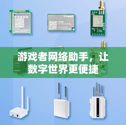 游戏者网络助手,让数字世界更便捷 游戏者网络助手,让数字世界更便捷