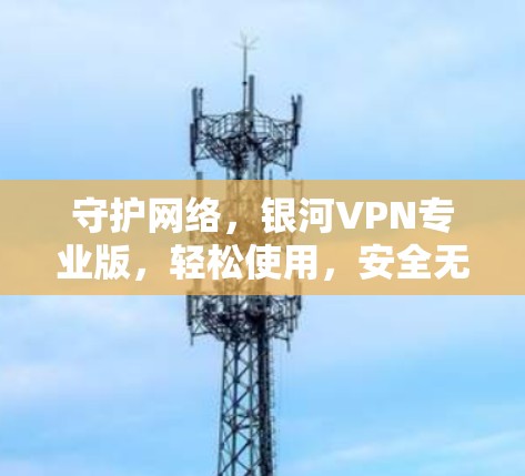守护网络,银河VPN专业版,轻松使用,安全无忧 守护网络,银河VPN专业版,轻松使用,安全无忧