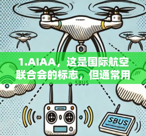 1.AIAA，这是国际航空联合会的标志，但通常用于大型机场，可能不太适合小型机场