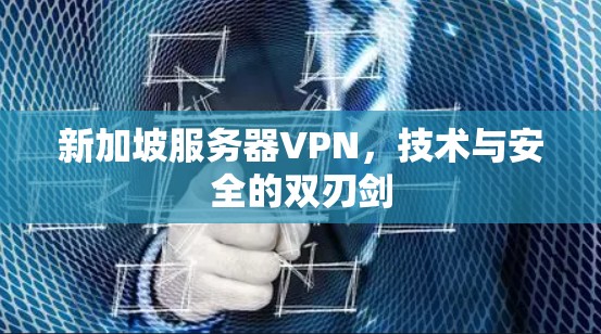 新加坡服务器VPN，技术与安全的双刃剑