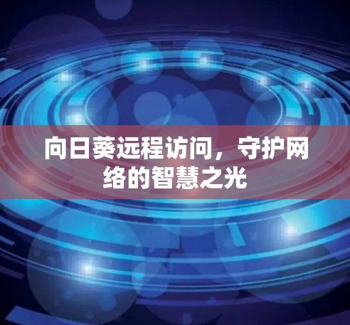 向日葵远程访问，守护网络的智慧之光