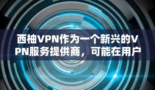 西柚VPN作为一个新兴的VPN服务提供商，可能在用户体验和功能上有所不同。以下是一些关于使用西柚VPN的实用指南