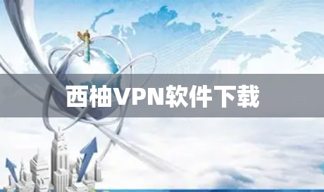 西柚VPN软件下载