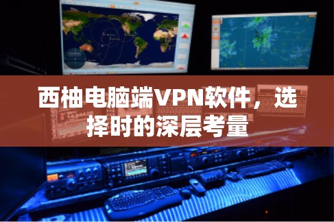 西柚电脑端VPN软件，选择时的深层考量
