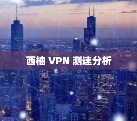 西柚 VPN 测速分析