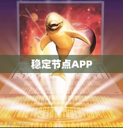 稳定节点APP