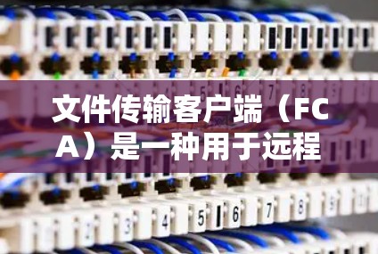 文件传输客户端（FCA）是一种用于远程文件传输的客户端，不同于服务器，它依赖于网络连接来上传和下载文件。以下是关于FCA的详细分析