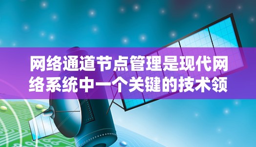 网络通道节点管理是现代网络系统中一个关键的技术领域，涉及对网络中的通道进行控制和优化。通道节点通常指在网络中代表数据传输的节点，而管理这些节点有助于提高网络性能、保障数据安全和确保数据传输的高效