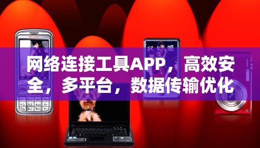 网络连接工具APP，高效安全，多平台，数据传输优化