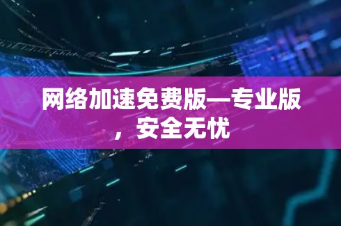 网络加速免费版—专业版，安全无忧