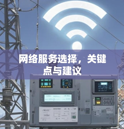 网络服务选择，关键点与建议