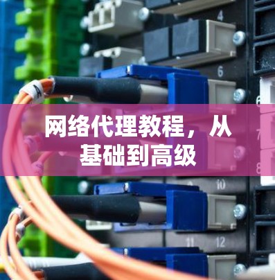 网络代理教程，从基础到高级