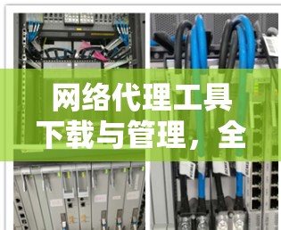 网络代理工具下载与管理，全面解析与优化建议