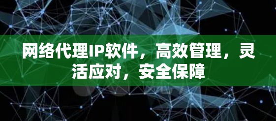 网络代理IP软件，高效管理，灵活应对，安全保障