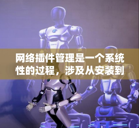 网络插件管理是一个系统性的过程，涉及从安装到管理多个插件的全过程。以下是一个结构化的总结，帮助你全面了解和管理网络插件
