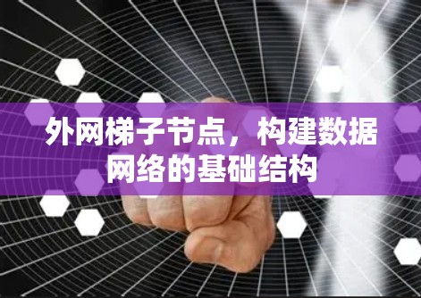 外网梯子节点，构建数据网络的基础结构