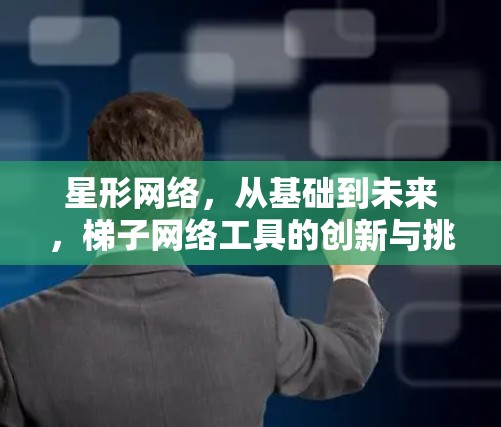星形网络，从基础到未来，梯子网络工具的创新与挑战