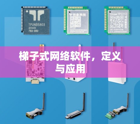 梯子式网络软件，定义与应用
