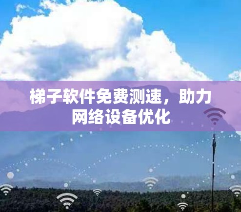 梯子软件免费测速，助力网络设备优化